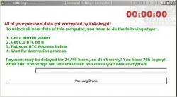 Official Download Mirror for Emsisoft Decryptor for KokoKrypt